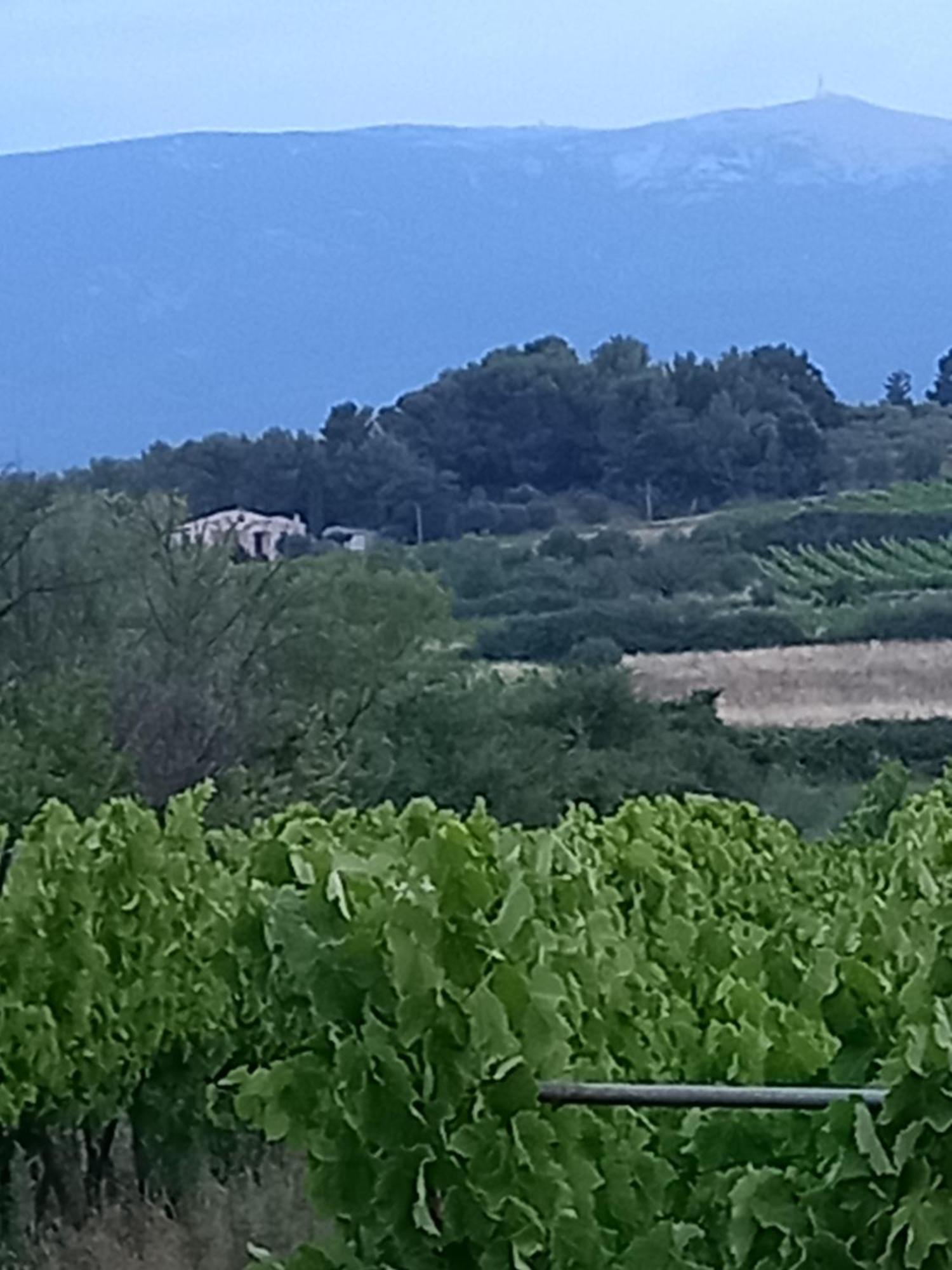 La Pifote Villa Villes-sur-Auzon Екстериор снимка